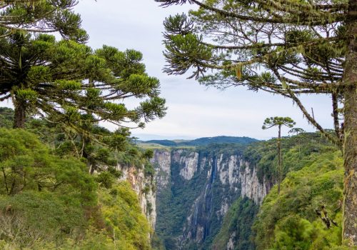 ITAIMBEZINHO-MAI25-TRILHA_DO_VERTICE (40)-min