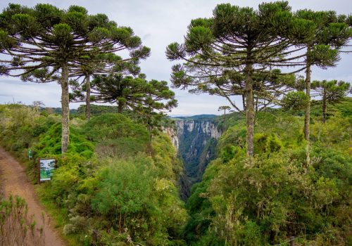 ITAIMBEZINHO-MAI25-TRILHA_DO_VERTICE (43) (1)-min